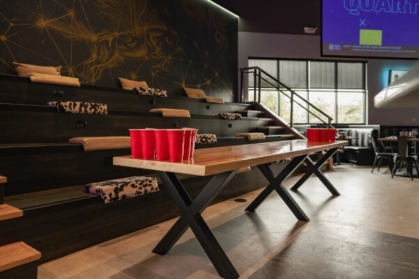 Beer Pong Image